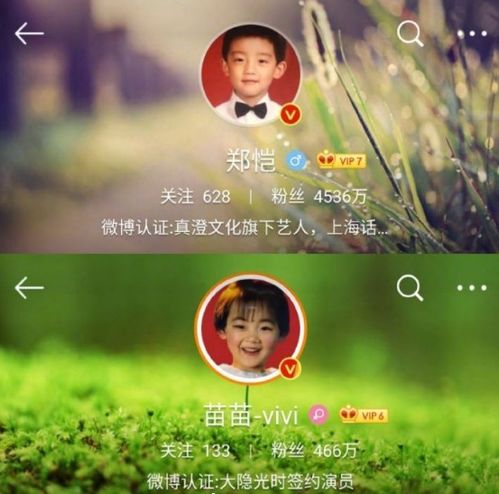 五月丁香合缴情网：感受爱情的美妙,五月丁香合缴情网：感受爱情的美妙,第1张