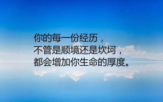 网络家电评测:路由器的品牌选购攻略,网络家电评测:路由器的品牌选购攻略,第1张
