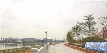新洲区生态修复工程：打造综合防治体系，提升生态环境质量,新洲区生态修复工程：打造综合防治体系，提升生态环境质量,第3张
