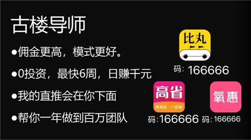 金旋网赚-掌握这些技巧，轻松实现网赚月入千元,金旋网赚-掌握这些技巧，轻松实现网赚月入千元,第3张