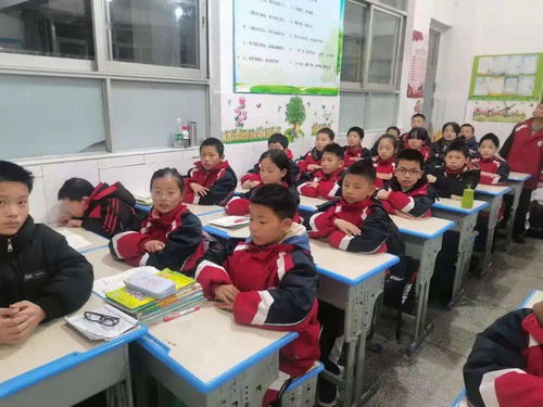 培养学生环保意识，容山中学的绿色教育之路,培养学生环保意识，容山中学的绿色教育之路,第1张