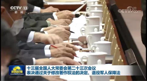 日本打击网络盗版，番号和女优名字被封锁,日本打击网络盗版，番号和女优名字被封锁,第2张