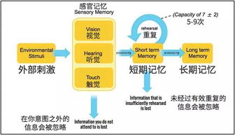 重新编辑后的标题为：发现更多精彩的世界-qq迷你首页的优势与体验,重新编辑后的标题为：发现更多精彩的世界-qq迷你首页的优势与体验,第2张