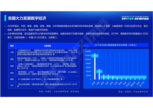 数字通行证AR：未来数字世界的颠覆者,数字通行证AR：未来数字世界的颠覆者,第1张
