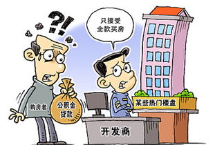 经济适用房购房贷款攻略：如何选择最优惠的贷款方式？,经济适用房购房贷款攻略：如何选择最优惠的贷款方式？,第3张