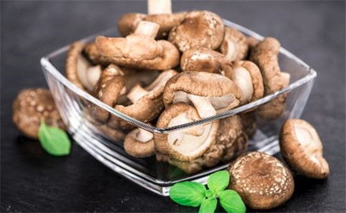 研究发现食用菌对人类健康的惊人益处,研究发现食用菌对人类健康的惊人益处,第2张