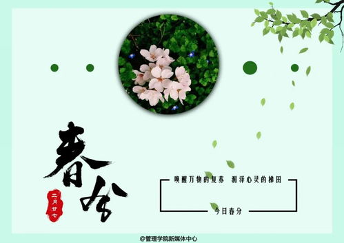 春到人间，燕在飞舞，花开满园,春到人间，燕在飞舞，花开满园,第2张