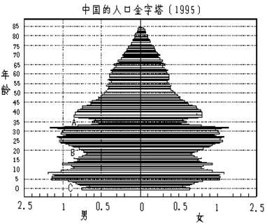 何时开始实行计划生育政策？,何时开始实行计划生育政策？,第3张