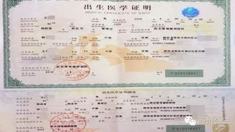 如何简单快捷地查询个人重要证件信息？,如何简单快捷地查询个人重要证件信息？,第1张