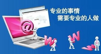 从零开始打造高效建站一体化服务,从零开始打造高效建站一体化服务,第3张