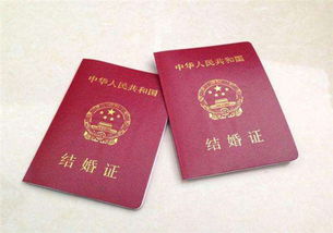 婚姻的法律约束 - 解读结婚证书内容,婚姻的法律约束 - 解读结婚证书内容,第2张
