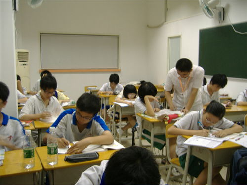 家教市场强劲需求，但受学校认可程度影响巨大,家教市场强劲需求，但受学校认可程度影响巨大,第1张