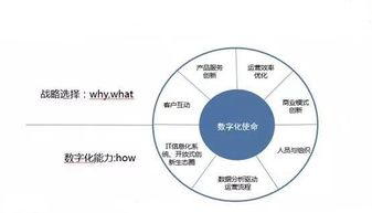 如何打造卓越运营能力？,如何打造卓越运营能力？,第3张