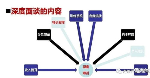 建立一个成功的网络平台需要多少资金投入？,建立一个成功的网络平台需要多少资金投入？,第3张