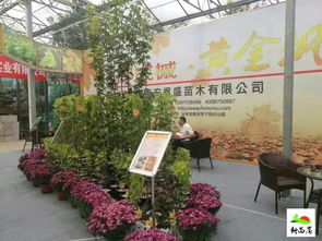 南京即将举行中国园艺学会2021年会暨中华园林论坛,南京即将举行中国园艺学会2021年会暨中华园林论坛,第2张
