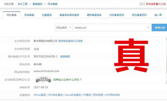 最全面的SEO工具集合平台，站长必备利器！,最全面的SEO工具集合平台，站长必备利器！,第3张