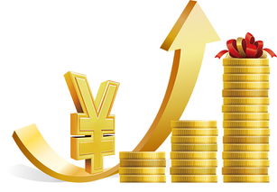 探讨小额贷款在金融普惠中的关键作用,探讨小额贷款在金融普惠中的关键作用,第2张