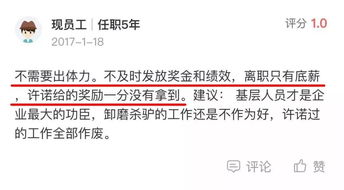 网站专业建设公司如何选择和比较,网站专业建设公司如何选择和比较,第1张