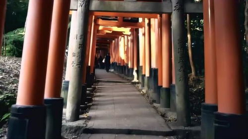 近年来，随着日本文化的影响力越来越大，越来越多的人开始对日本产生了浓厚的兴趣。而在日本文化的大使中，传统的艺妓文化一直占据着重要的地位。在这其中，有一位备受瞩目的艺妓便是山本博美。接下来，我们将从不同角度来探索艺妓的文化以及山本博美的艺妓之道。,近年来，随着日本文化的影响力越来越大，越来越多的人开始对日本产生了浓厚的兴趣。而在日本文化的大使中，传统的艺妓文化一直占据着重要的地位。在这其中，有一位备受瞩目的艺妓便是山本博美。接下来，我们将从不同角度来探索艺妓的文化以及山本博美的艺妓之道。,第1张