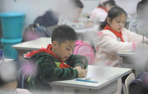 如何打造优质个性化教育-以指南者教育为例,如何打造优质个性化教育-以指南者教育为例,第3张