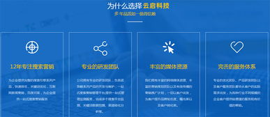 大连网站制作企业打造你的网站，让客户爱上你,大连网站制作企业打造你的网站，让客户爱上你,第2张