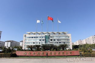 零化学品的未来-透视云南省医药有限公司,零化学品的未来-透视云南省医药有限公司,第1张