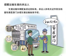 怒江一日新增3例新冠肺炎确诊病例，疫情仍需警惕,怒江一日新增3例新冠肺炎确诊病例，疫情仍需警惕,第1张