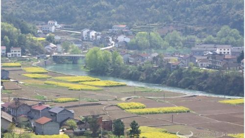 云南农村信息化建设现状及前景分析,云南农村信息化建设现状及前景分析,第2张