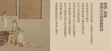 《深度探析中国丽人秀：回归传统美学，体现东方优雅》,《深度探析中国丽人秀：回归传统美学，体现东方优雅》,第2张