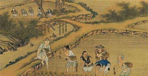 探究黄袍背后的历史文化,探究黄袍背后的历史文化,第3张