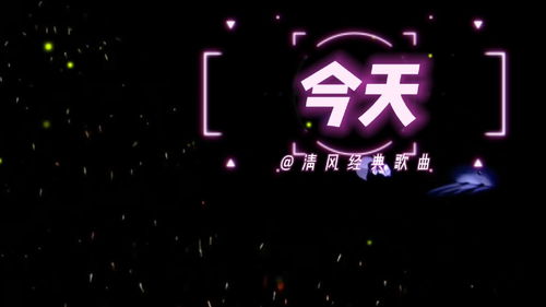 武藤兰的音乐之旅：畅游80年代经典流行曲,武藤兰的音乐之旅：畅游80年代经典流行曲,第3张