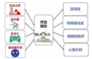 打造高效思维导图：从数据到PPT,打造高效思维导图：从数据到PPT,第2张