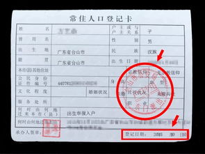 如何简单快捷地查询个人重要证件信息？,如何简单快捷地查询个人重要证件信息？,第2张