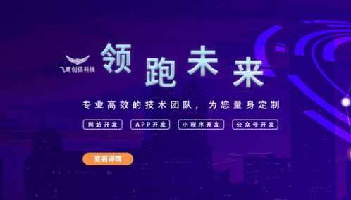 广州软件定制开发（专业软件开发服务）,广州软件定制开发（专业软件开发服务）,第3张