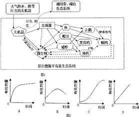 南极洲生态系统的珍贵之谜,南极洲生态系统的珍贵之谜,第1张