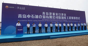 青岛网络营销公司，打造高效品牌推广,青岛网络营销公司，打造高效品牌推广,第1张
