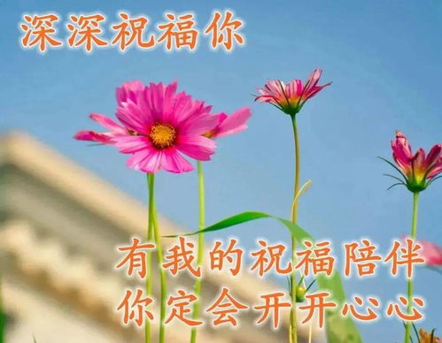鲜活生命，静待绽放,鲜活生命，静待绽放,第1张
