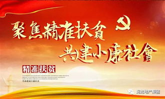 宿州市全力推进“三服务”，同心协力打赢脱贫攻坚战,宿州市全力推进“三服务”，同心协力打赢脱贫攻坚战,第1张