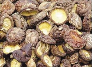 研究发现食用菌对人类健康的惊人益处,研究发现食用菌对人类健康的惊人益处,第3张