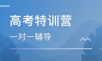 如何选择有效的西安SEO培训？-打造最优化营销品牌！,如何选择有效的西安SEO培训？-打造最优化营销品牌！,第2张