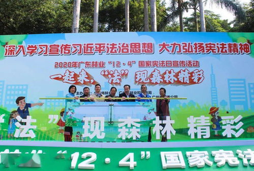 如皋市人民政府召开2019年度网上群众工作述职评议会,如皋市人民政府召开2019年度网上群众工作述职评议会,第2张
