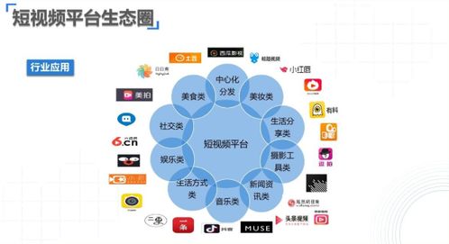 网络运营到底是干什么的？（全面解析网络运营的职责和技能）,网络运营到底是干什么的？（全面解析网络运营的职责和技能）,第3张