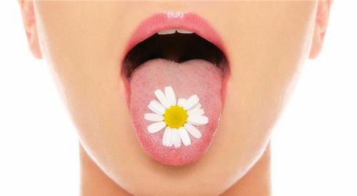 当舌头遇上花唇，你需要知道些什么？,当舌头遇上花唇，你需要知道些什么？,第3张