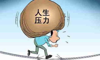 信网校考试引发重新定位，学员转向新专业,信网校考试引发重新定位，学员转向新专业,第1张