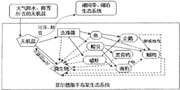 南极洲生态系统的珍贵之谜,南极洲生态系统的珍贵之谜,第3张