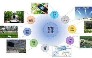 践行"互联网+"，河间网助力农村电商飞翔,践行"互联网+"，河间网助力农村电商飞翔,第1张