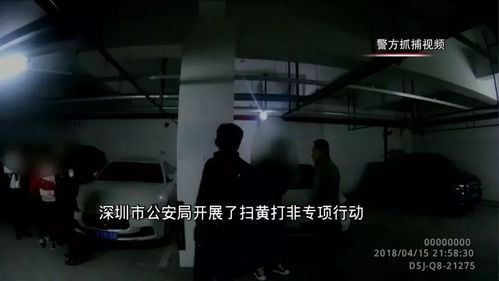 AV站点被警方抓获，创始人被判六年半监禁,AV站点被警方抓获，创始人被判六年半监禁,第1张