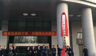 「重写标题」：探秘无为网背后的故事和发展前景,「重写标题」：探秘无为网背后的故事和发展前景,第3张