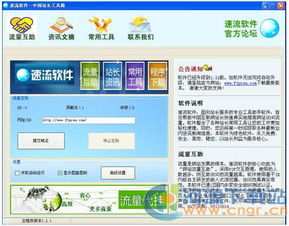 网站流量：为何如此重要且如何优化,网站流量：为何如此重要且如何优化,第1张