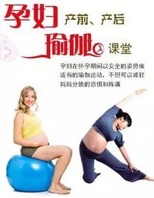 从零开始学瑜伽：初级瑜伽视频教程,从零开始学瑜伽：初级瑜伽视频教程,第1张